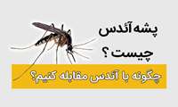 محتوای آموزشی / خطر پشه آئدس جدی است!!!